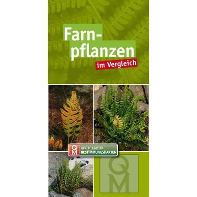 Farnpflanzen, Sonstige von , Quelle & Meyer, 978-3-494-01881-2