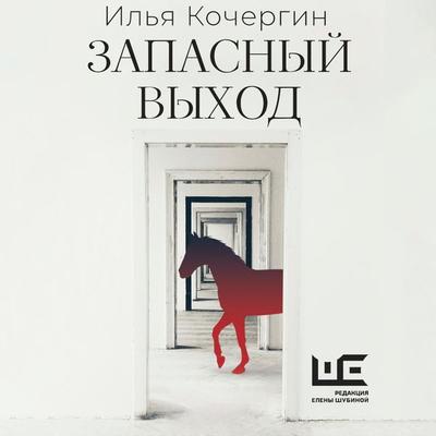 Zapasnyy vyhod - Ilya Kochergin, Audio, 9785171684792