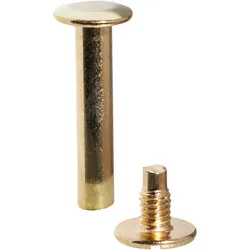 100 Buchschrauben, Messing Hülse glatt, Schraube geschlitzt | 20 mm, Metall, gold