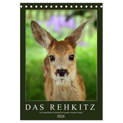 Das Rehkitz, ein zauberhaftes Geschöpf mit großen, braunen Augen (Tischkalender 2026 DIN A5 hoch), CALVENDO Monatskalender