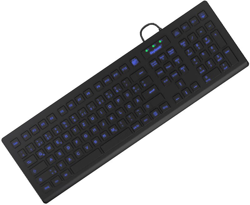 KeySonic KSK-8031INEL-B kabelgebundene Hygienetastatur - QWERTZ DE - schwarz 60529