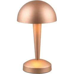 Reality, Tischlampe, LED-Tischleuchte Canaria R59561165 coffee, E14, 4,9 W, 470 lm, 3000 K (470 lm, E14)