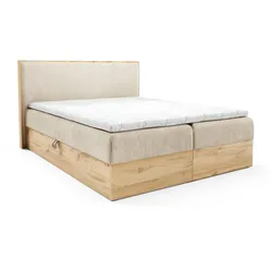 BOXBETT Roland Premium