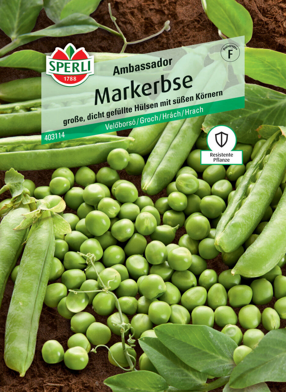 Sperli Markerbse Ambassador