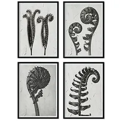 POSTER Set mit 4 von Blättern Farns Blumen und Pflanzen in Grausteinen A4 Schwarzer Rahmen