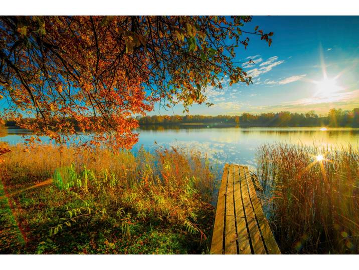 Papermoon SEE-LANDSCHAFT-STEG WALD WALD MEER STRAND BOOTE SONNE