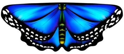 Useful Little Things Kids Butterfly Wings Cape Girls Fairy Shawl Pixie Cloak Colorful Costume Dress Up Accessory For Parties And Holidays e