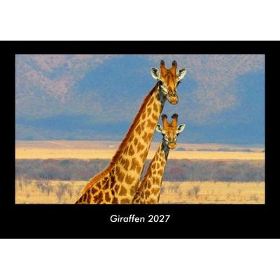 Giraffen 2027 Fotokalender DIN A3