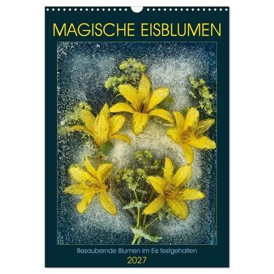 Magische Eisblumen (Wandkalender 2027 DIN A3 hoch), CALVENDO Monatskalender