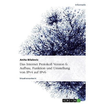 Das Internet Protokoll Version 6: Aufbau, Funktion und Umstellung von IPv4 auf IPv6, Taschenbuch von Anita Bilalovic, GRIN, 978-3-640-23064-8