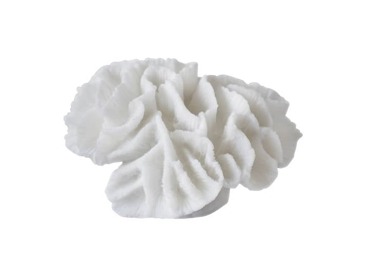 Mette Ditmer Coral gills White
