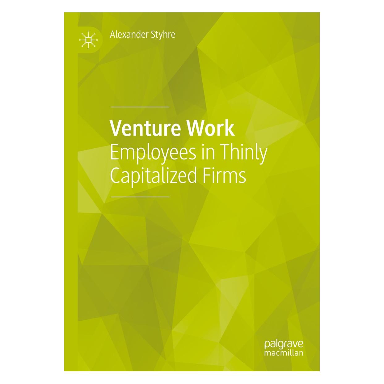 Springer Venture Work (Englisch, Hardcover, Alexander Styhre) (9783030031794)