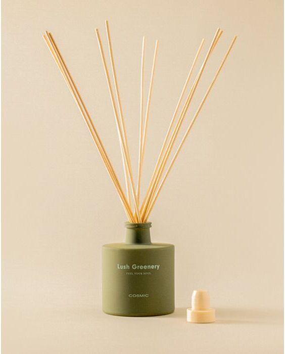 Cosmic Essentials Mikado Raumduft WJC292A0110418 mit Sticks, 60 x 60 x 70 mm, olive