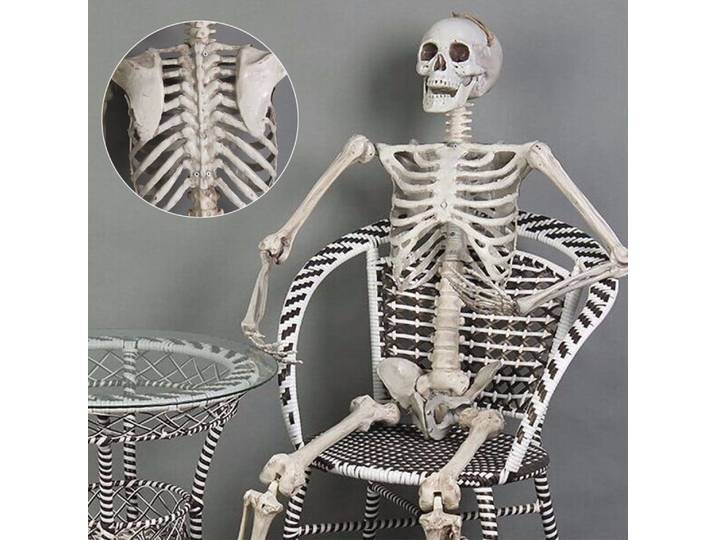 1:1 170cm Halloween accessoire taille réelle crâne humain squelette décoration de maison hantée
