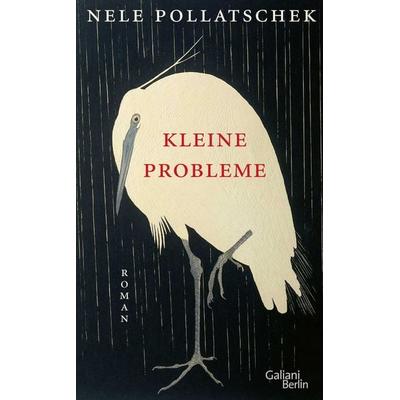 Kleine Probleme, Gebundene Ausgabe von Nele Pollatschek, Galiani Berlin ein Imprint von Kiepenheuer & Witsch