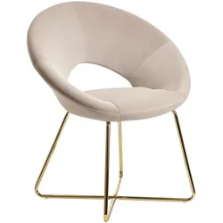 WOHNLING Esszimmerstuhl Samt WL6.191 beige