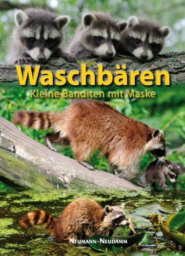 Waschbären: Kleine Banditen mit Maske - Preis vom 15.10.2026 23:06:25 h