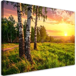 LEINWANDBILD Birken Bäume Sonnenuntergang 100x70cm