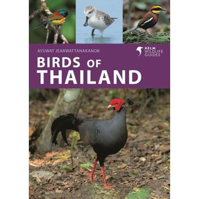 Birds of Thailand, Taschenbuch von Ayuwat Jearwattanakanok, Bloomsbury Academic, 978-1-399-41471-5