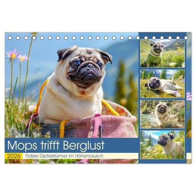 Mops trifft Berglust. Fidele Gipfelstürmer im Höhenrausch (Tischkalender 2026 DIN A5 quer), CALVENDO Monatskalender
