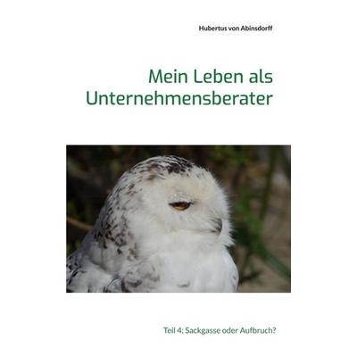 Mein Leben als Unternehmensberater, Taschenbuch von Hubertus Abinsdorff, BoD – Books on Demand, 978-3-7543-7190-9