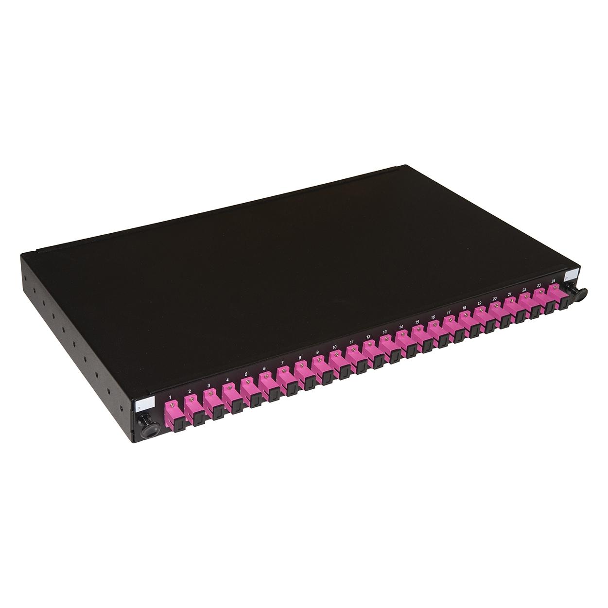 Link 19' Glasfaserpanel mit 24 (LK24SC4)