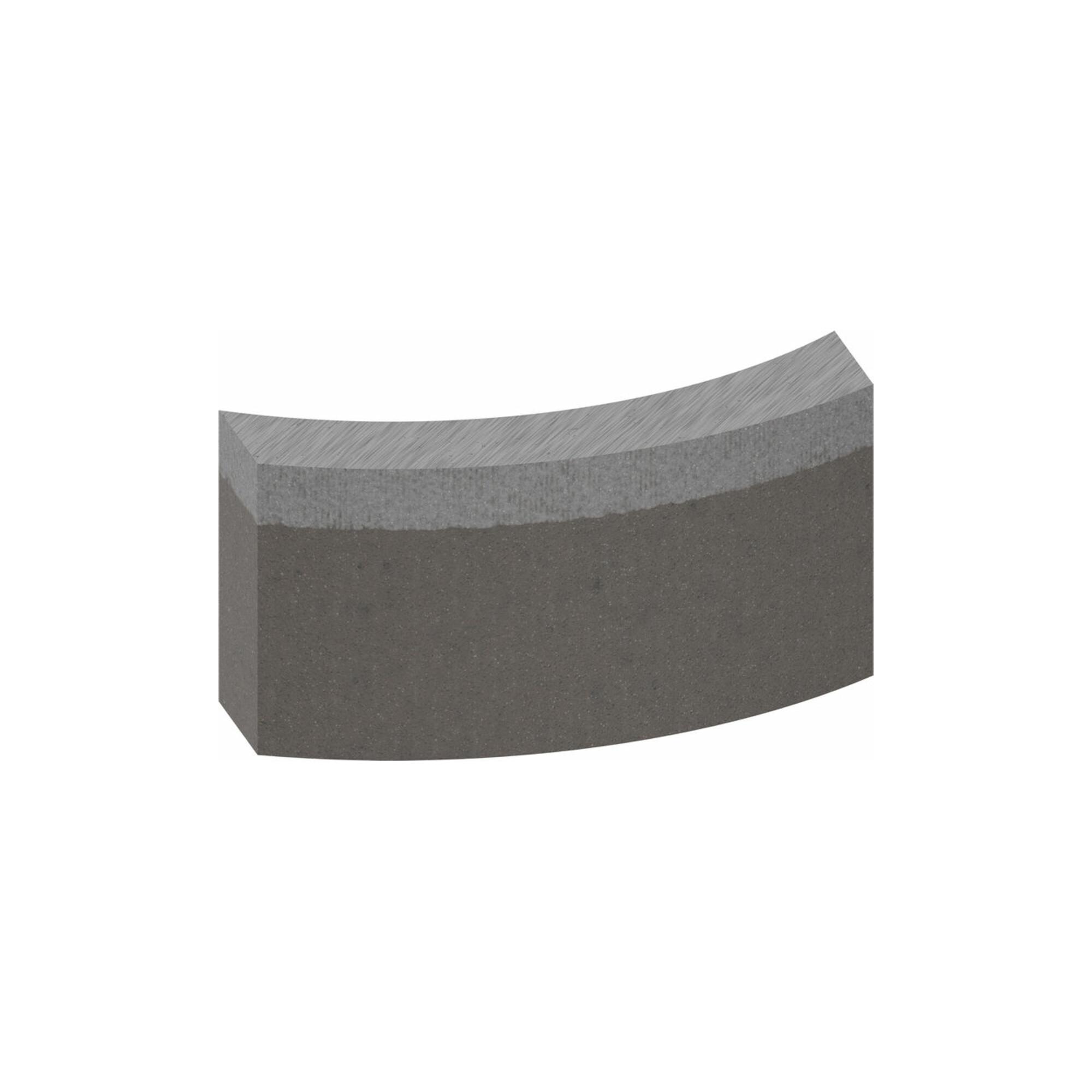 BOSCH Segmente für Diamantbohrkrone Standard for Concrete 42 mm 4, 10 mm (2608601747)