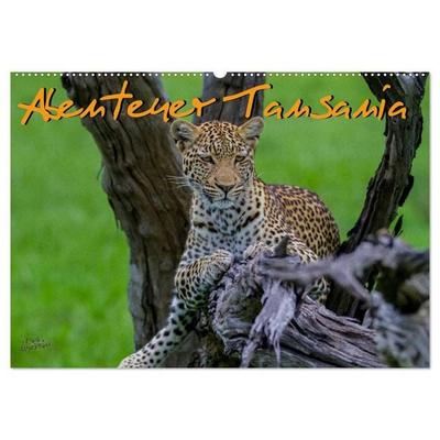Abenteuer Tansania, Afrika (Wandkalender 2027 DIN A2 quer), CALVENDO Monatskalender