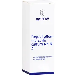 Bryophyllum Mercurio cultum Rh D 3