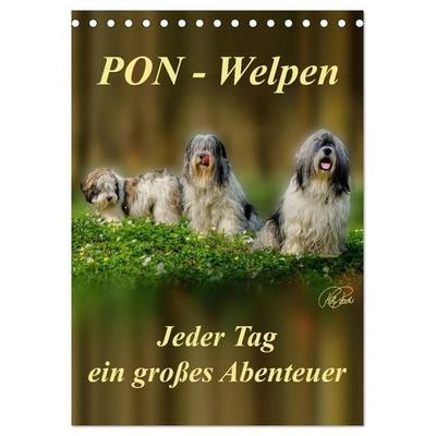 PON-Welpen - jeder Tag ein großes Abenteuer / Planer (Tischkalender 2026 DIN A5 hoch), CALVENDO Monatskalender