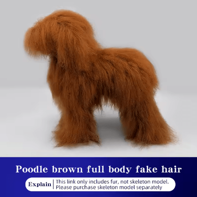 Inspire Picks ProGroom Standard Poodle Practice Model Full Body Grooming Training Dog With Skeleton Structure poodle Hair Brown