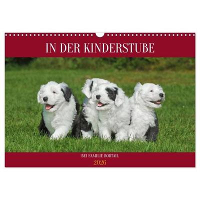 In der Kinderstube bei Familie Bobtail (Wandkalender 2026 DIN A3 quer), CALVENDO Monatskalender