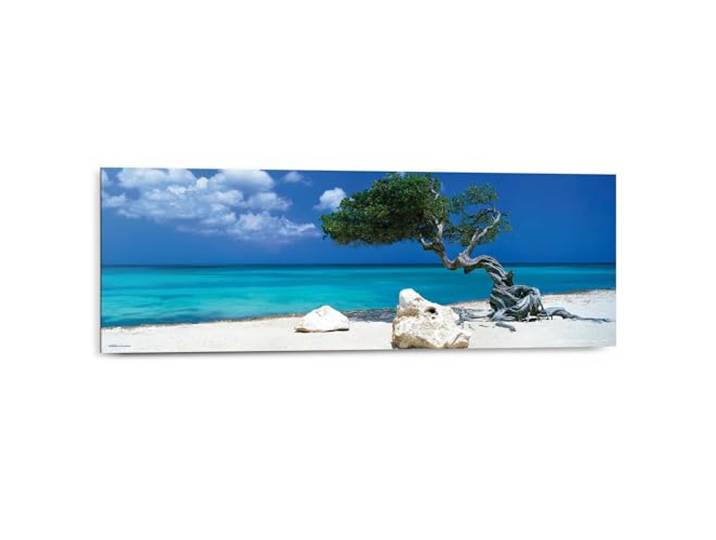 REINDERS Wandbild, Divi Divi Baum, Schlafzimmer, Bilder, Wanddeko, Room Decor, MDF, Blau, 30 x 90