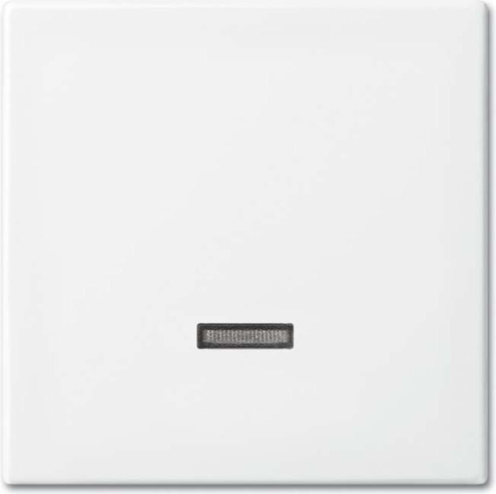Busch-Jaeger 6543-914-102 Bedienelement Dimmer alpinweiß für LED-Dimmer-Einsatz, 2CKA006599A3018)