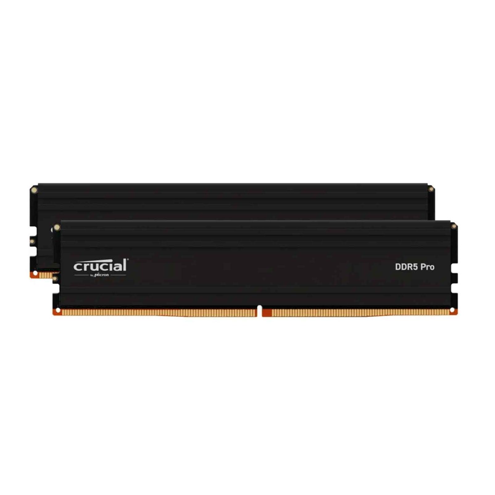 Crucial Pro (2 x 16GB, 6000 MHz, DDR5-RAM) (CP2K16G60C48U5)