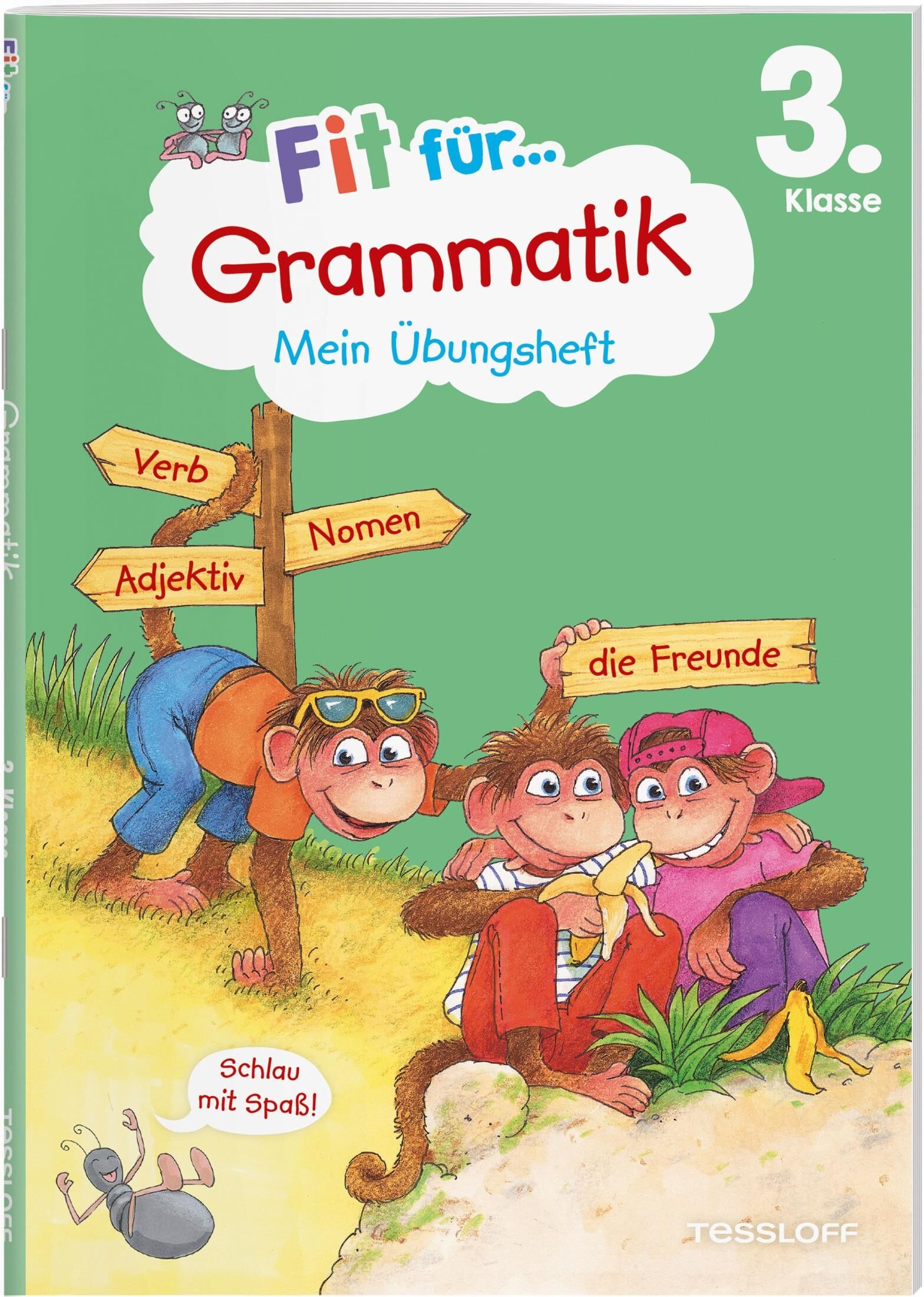 Tessloff Verlag Fit für Grammatik 3. Klasse. Mein Übungsheft