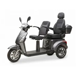 Econelo E-Seniorenmobil Billy 2.0, Lithium-Akku, 3-Rad, 1000 Watt, Komfort-Sitz, Grau