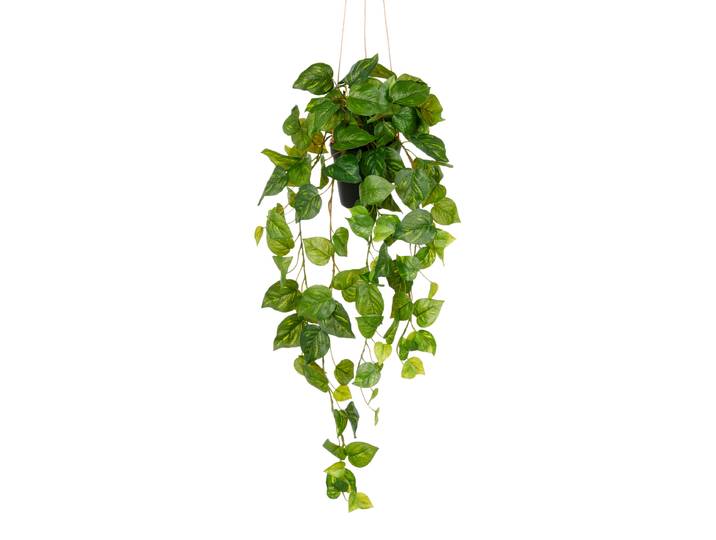 Kunstpflanze Philodendron Hederaceum 25 x 75 x 25cm