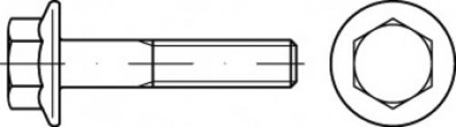 TOOLCRAFT TO-5391405 Sechskantschraube M16 30mm Außensechskant 50St.