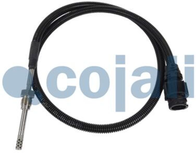 Palpeur, température des gaz COJALI 2260782