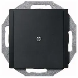 Merten Zentralplatte anth 295614