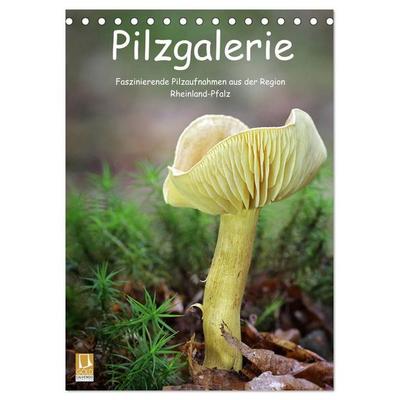 Pilzgalerie - Faszinierende Pilzaufnahmen aus der Region Rheinland-Pfalz (Tischkalender 2027 DIN A5 hoch), CALVENDO Monatskalender