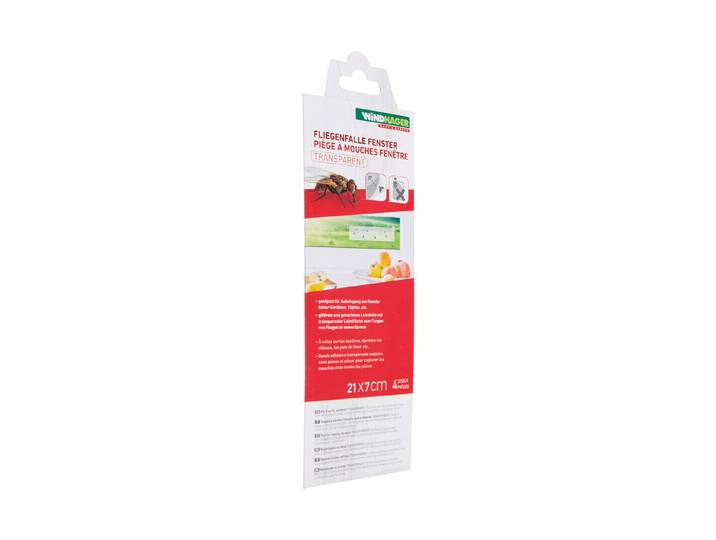 Windhager Fenster-Fliegenfalle 21 × 5 cm