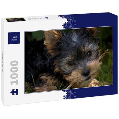 Lais Puzzle Yorkshire Terrier 1000 Teile
