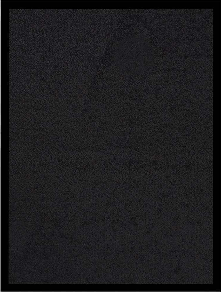 vidaXL Paillasson Noir 40x60 cm