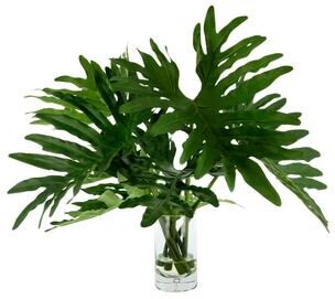 Creative Labs Modern Philodendron Arranged in Glass Vase - Green