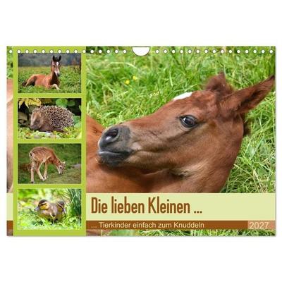 Die lieben Kleinen... Tierkinder einfach zum Knuddeln (Wandkalender 2027 DIN A4 quer), CALVENDO Monatskalender