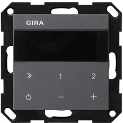 Gira UP-Radio IP 232028