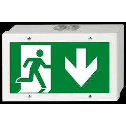 H1 Solutions Rettungszeichenleuchte Bouncer L CBS