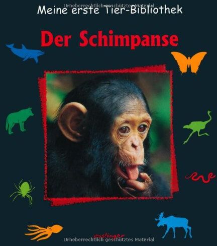 Stéphane Frattini - Der Schimpanse - Preis vom 09.10.2026 07:28:09 h